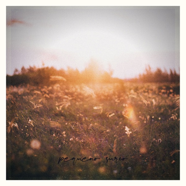 Pequeño Surco - Single album cover