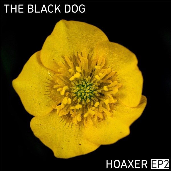Hoaxer EP 2 album cover