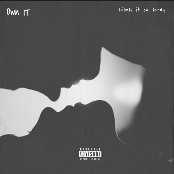 Own It (feat. Coi Leray) - Single album cover