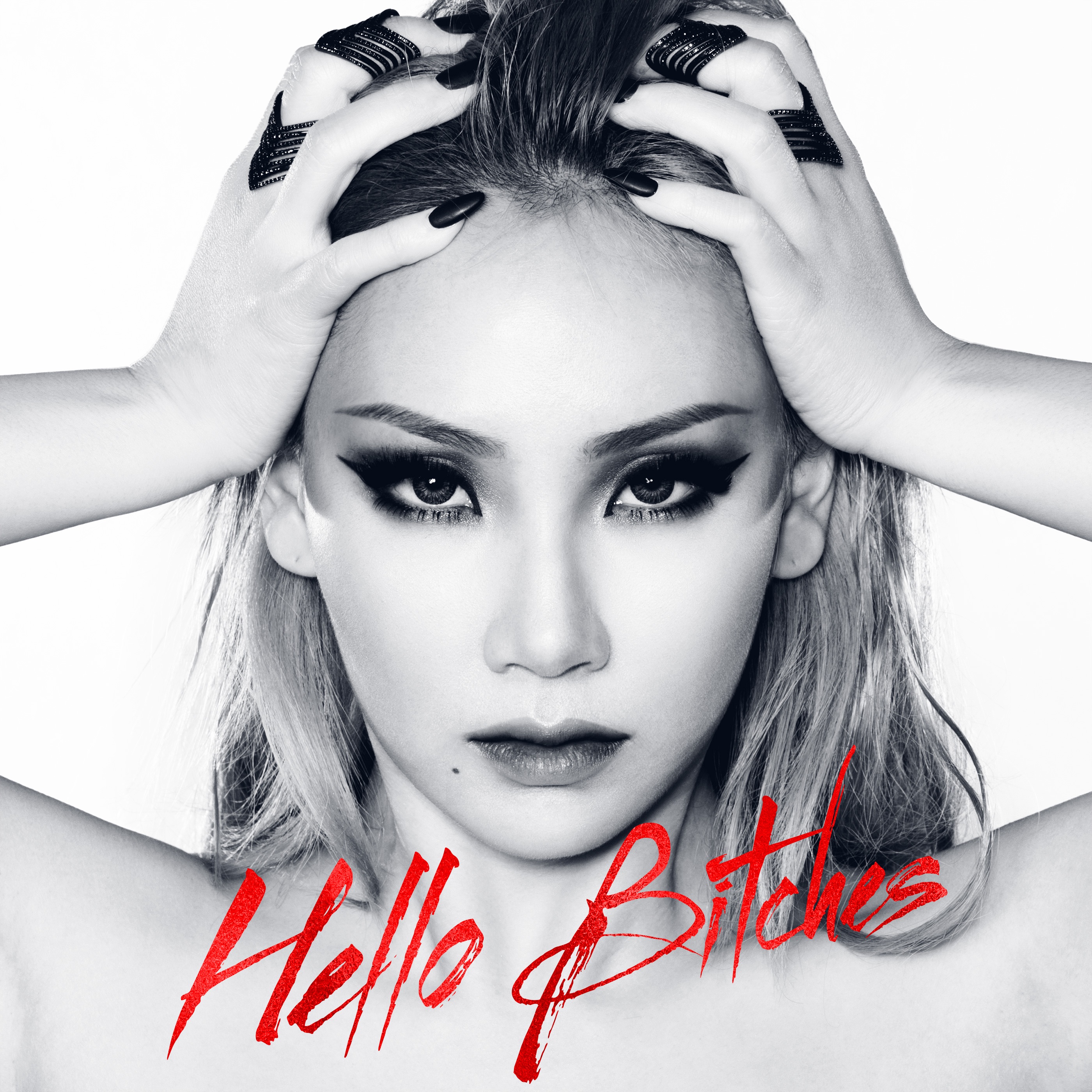 Hello Bitches - Single album cover