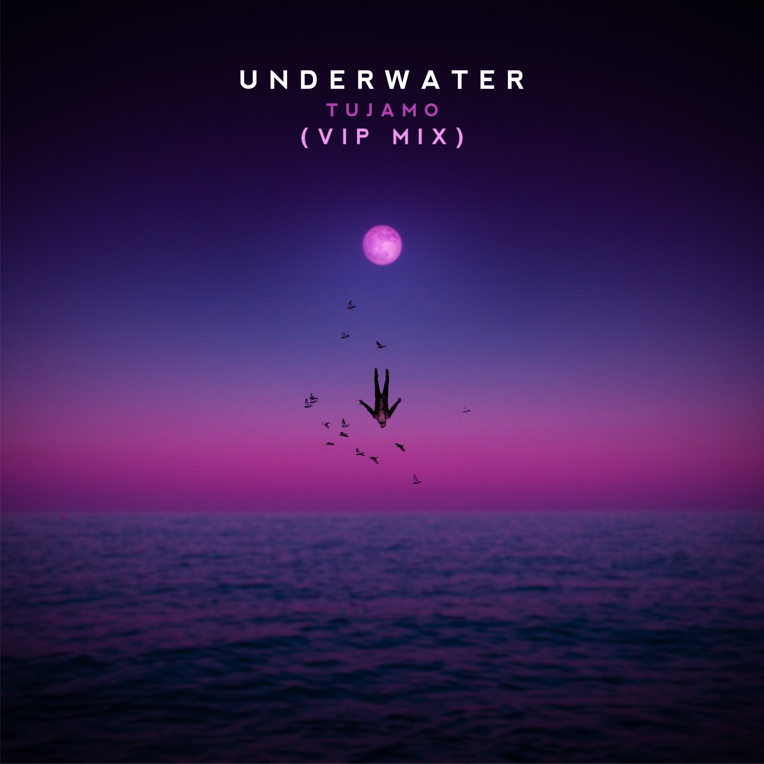 Underwater (VIP Mix) - Single album cover