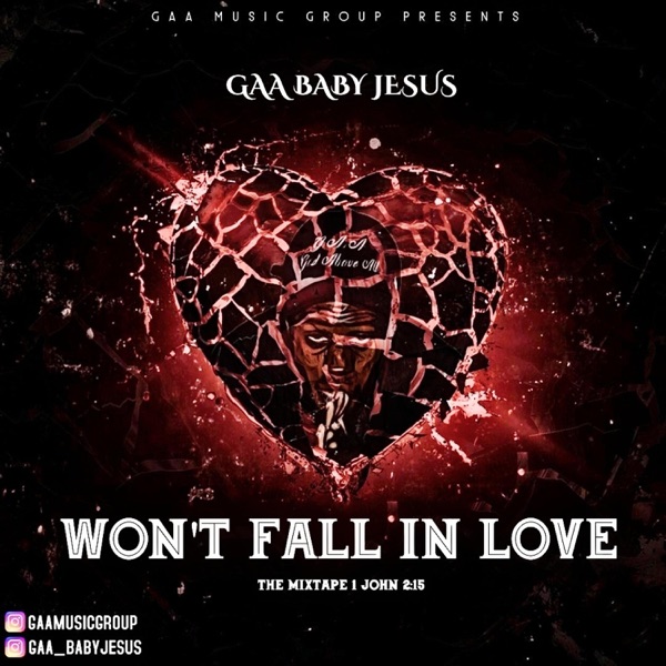 Won't Fall In Love (The Mixtape) album cover