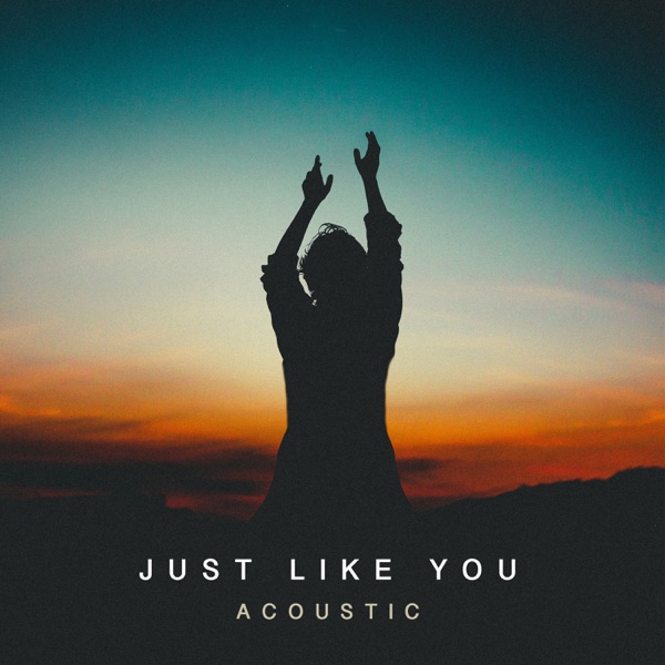 Just Like You (Acoustic) - Single album cover