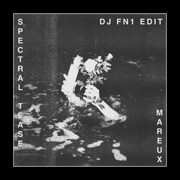 Spectral Tease (Dj Fn1 Edit) - Single album cover