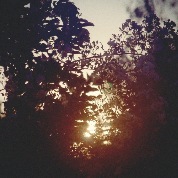 Saudade (feat. A Cerulean State) - Single album cover