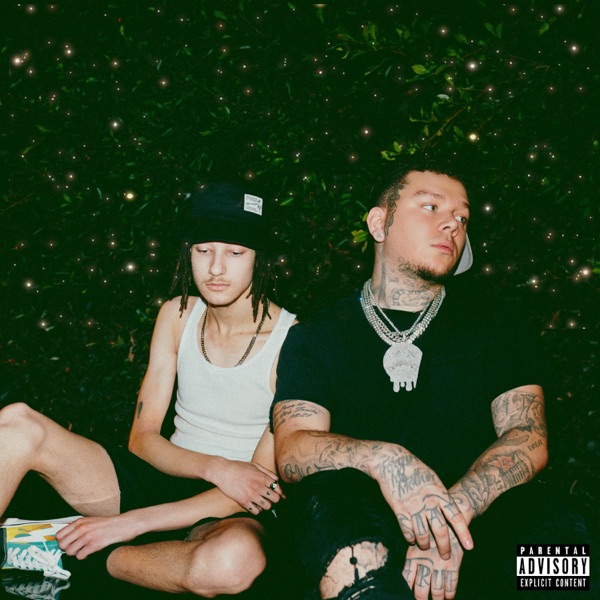 fireflies (feat. Phora) - Single album cover