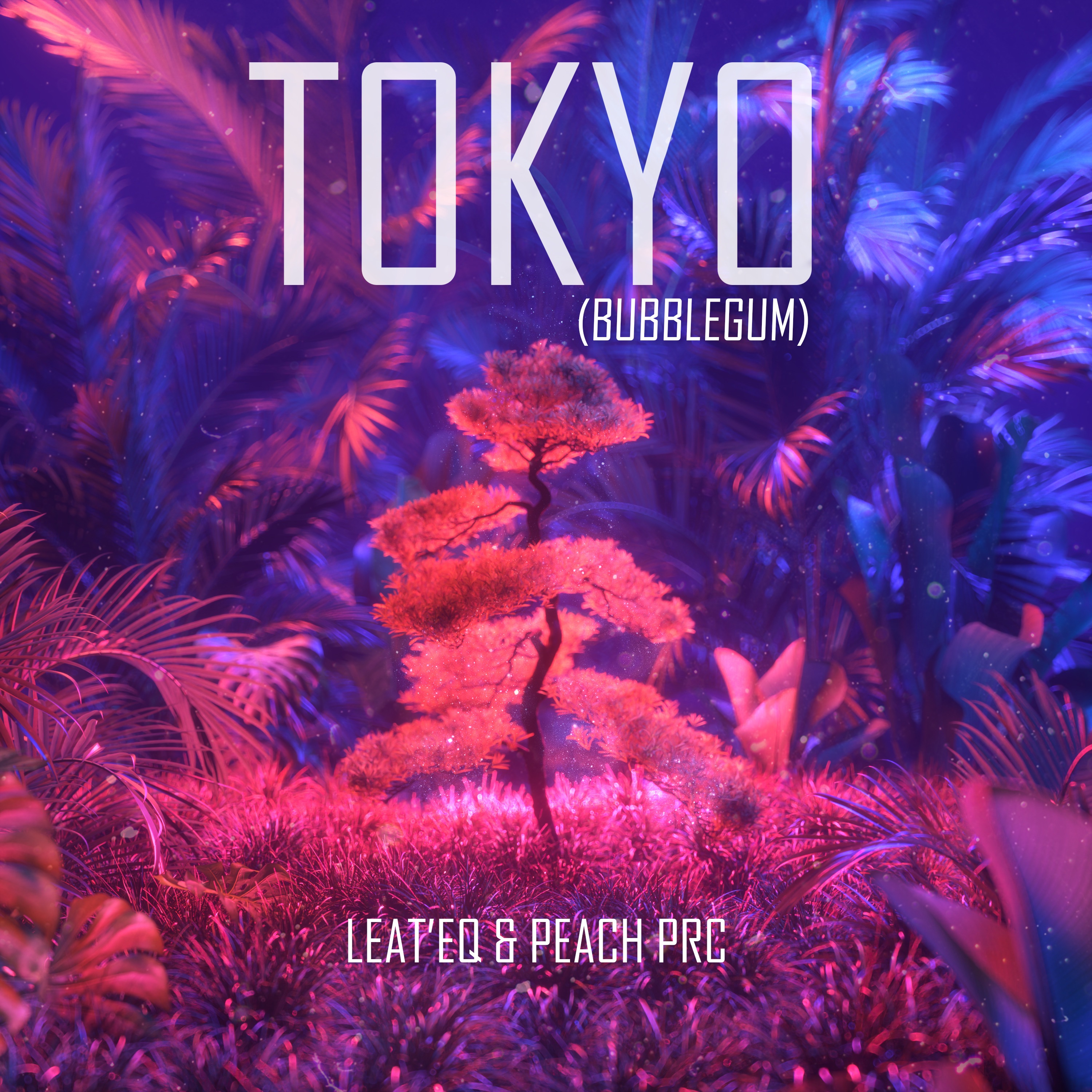 Tokyo (Bubblegum) - Single album cover