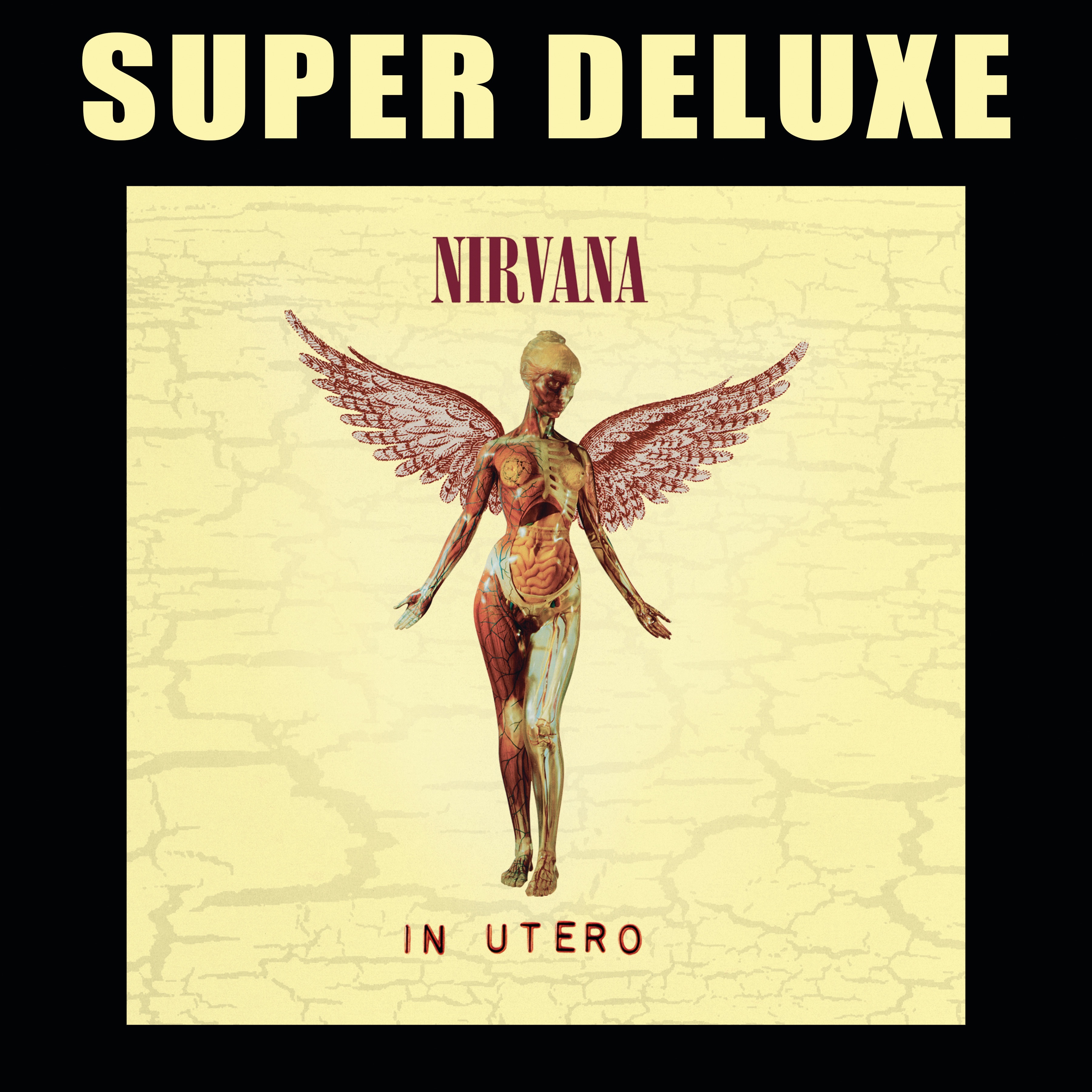 In Utero (20th Anniversary Super Deluxe Edition) album cover