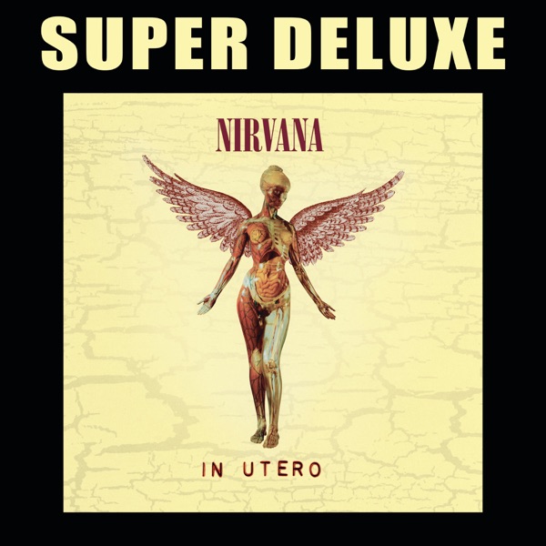 In Utero (20th Anniversary Super Deluxe Edition) album cover