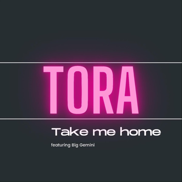 Take Me Home (feat. Big Gemini) - Single album cover