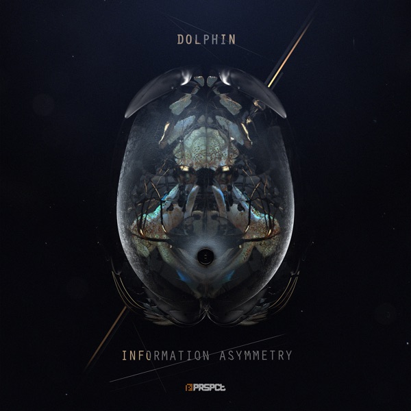 Information Asymmetry album cover