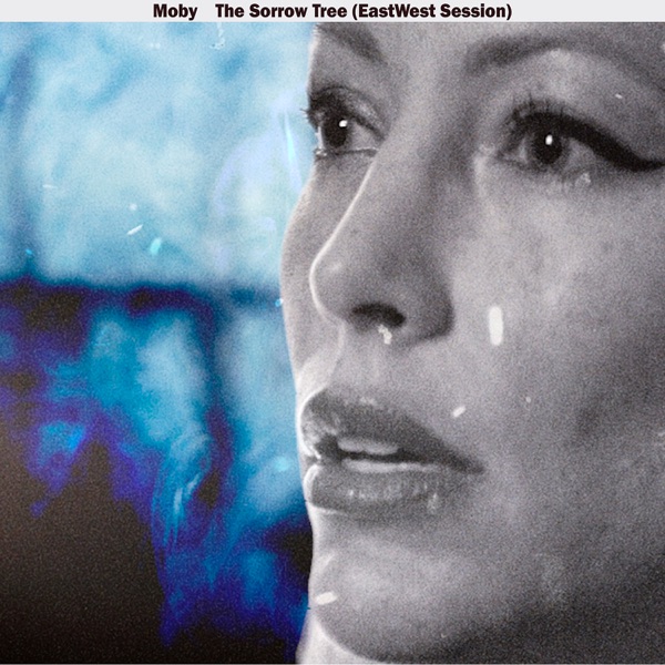 The Sorrow Tree (EastWest Session) - Single album cover