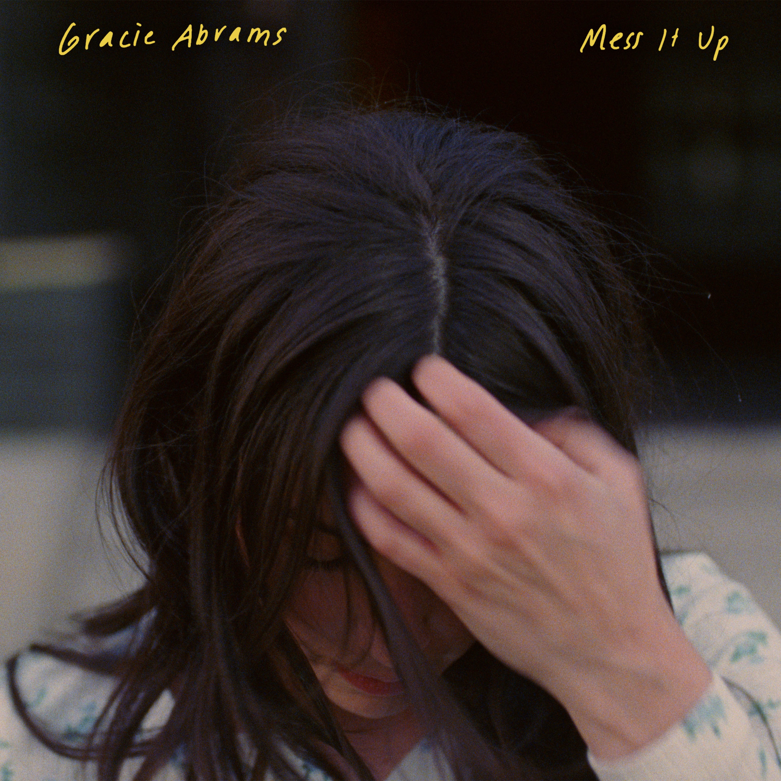 Mess It Up - Single album cover
