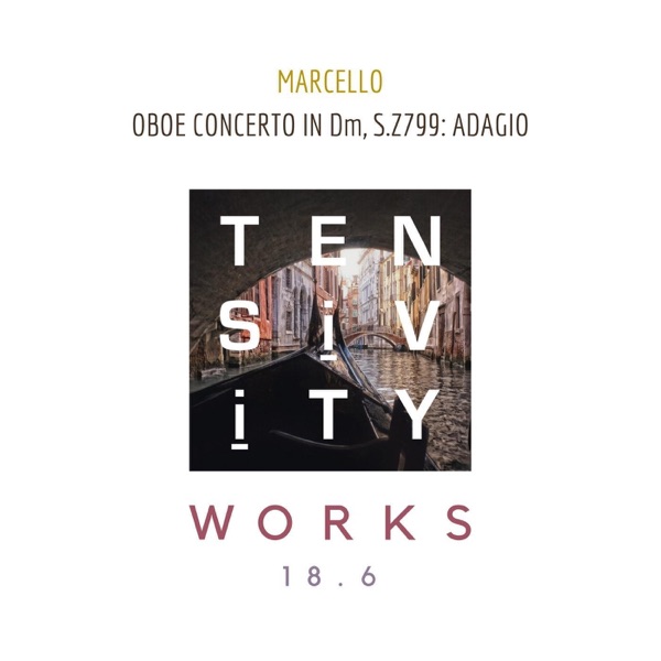 Oboe Concerto in D Minor, S.Z799: II. Adagio - Single album cover