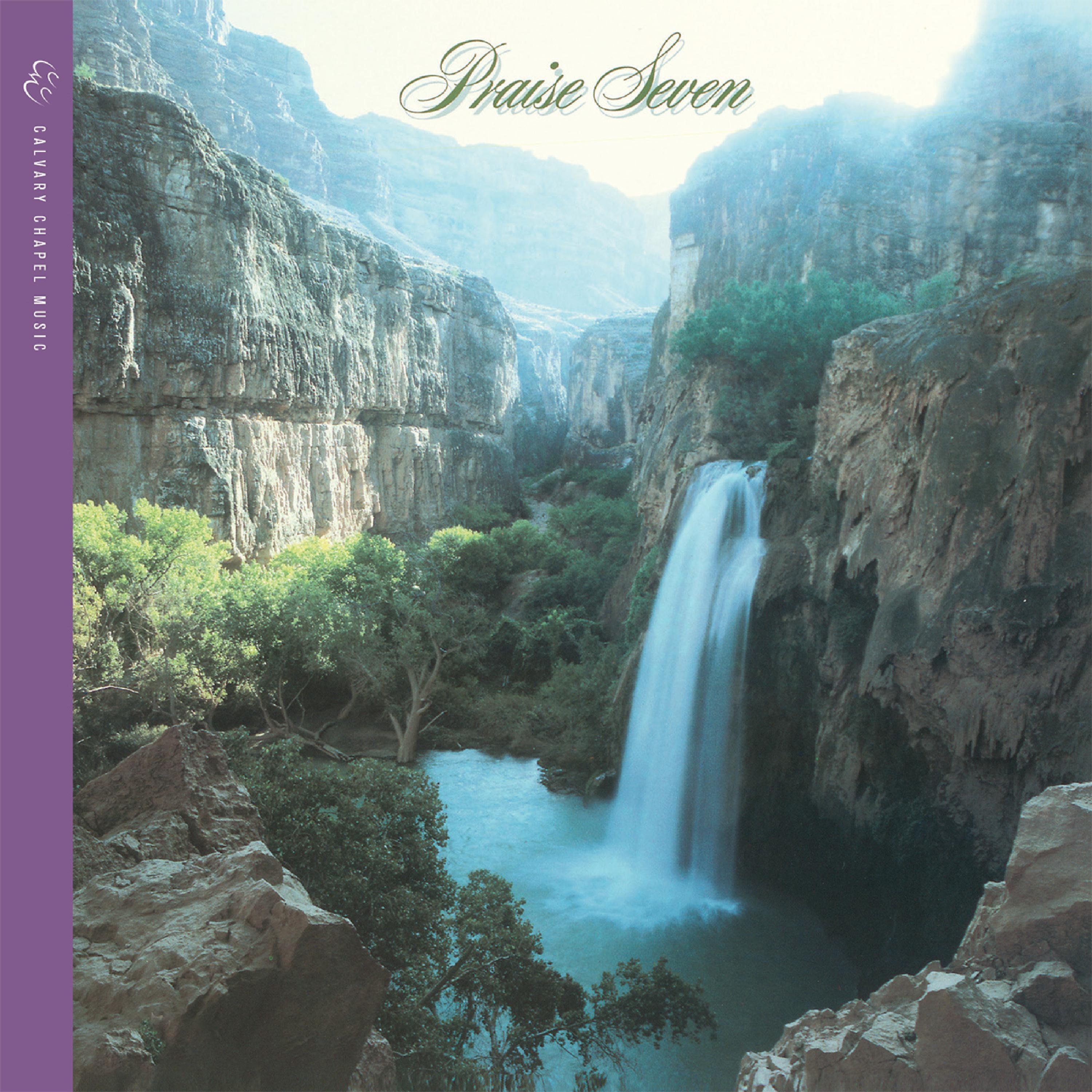 Praise 7 album cover