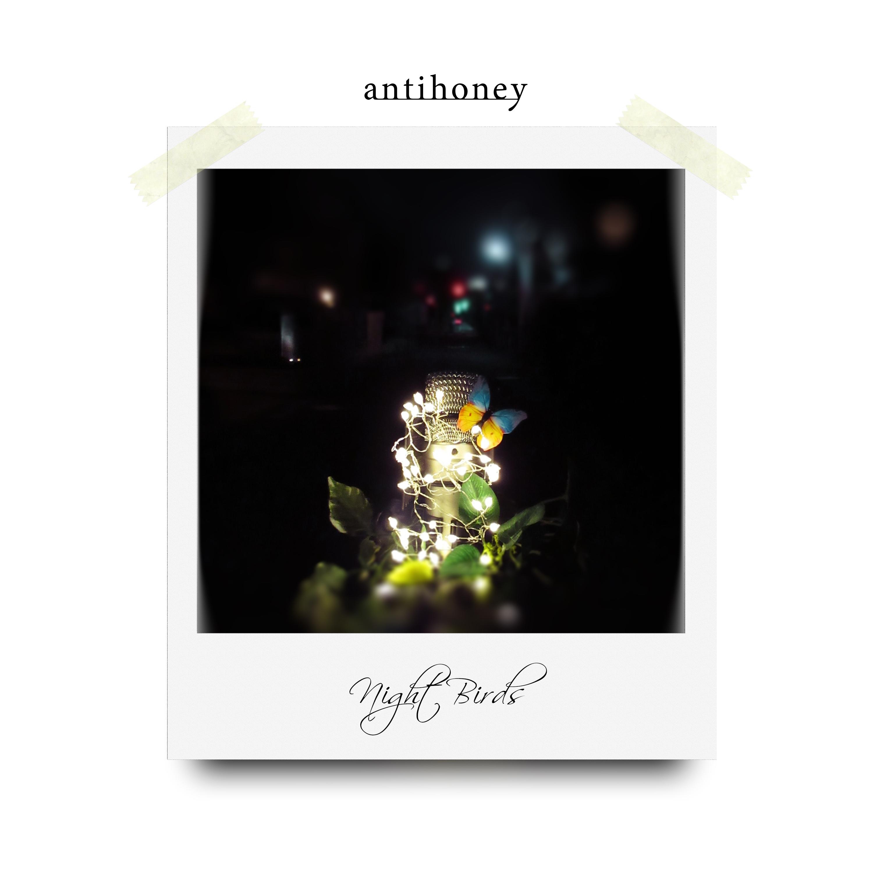 Night Birds album cover