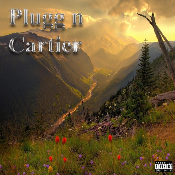 Plugg n Cartier (feat. Rich Amiri) - Single album cover