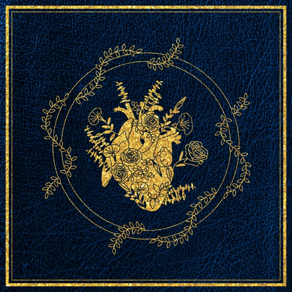 You Have My Heart - Single album cover