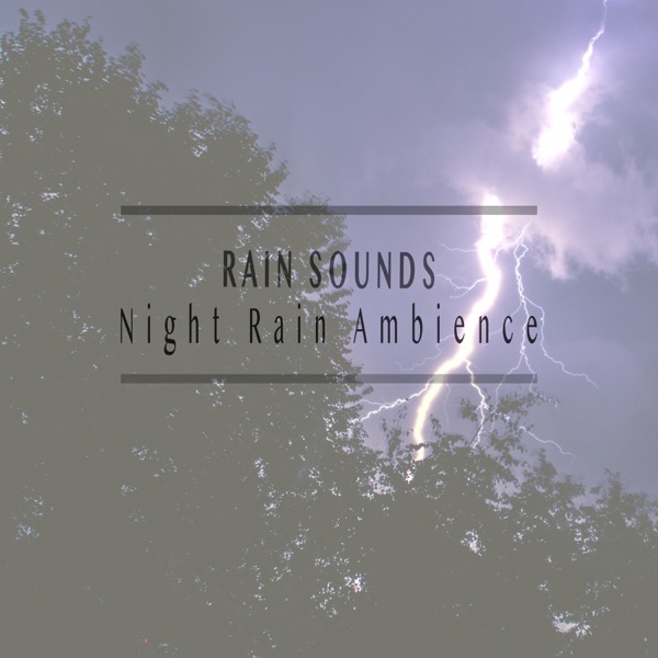 Night Rain Ambience album cover