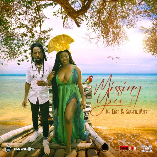 Missing You - Single album cover