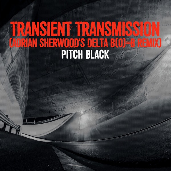 Transient Transmission (Adrian Sherwood's Delta B(0)=B Remix) - Single album cover