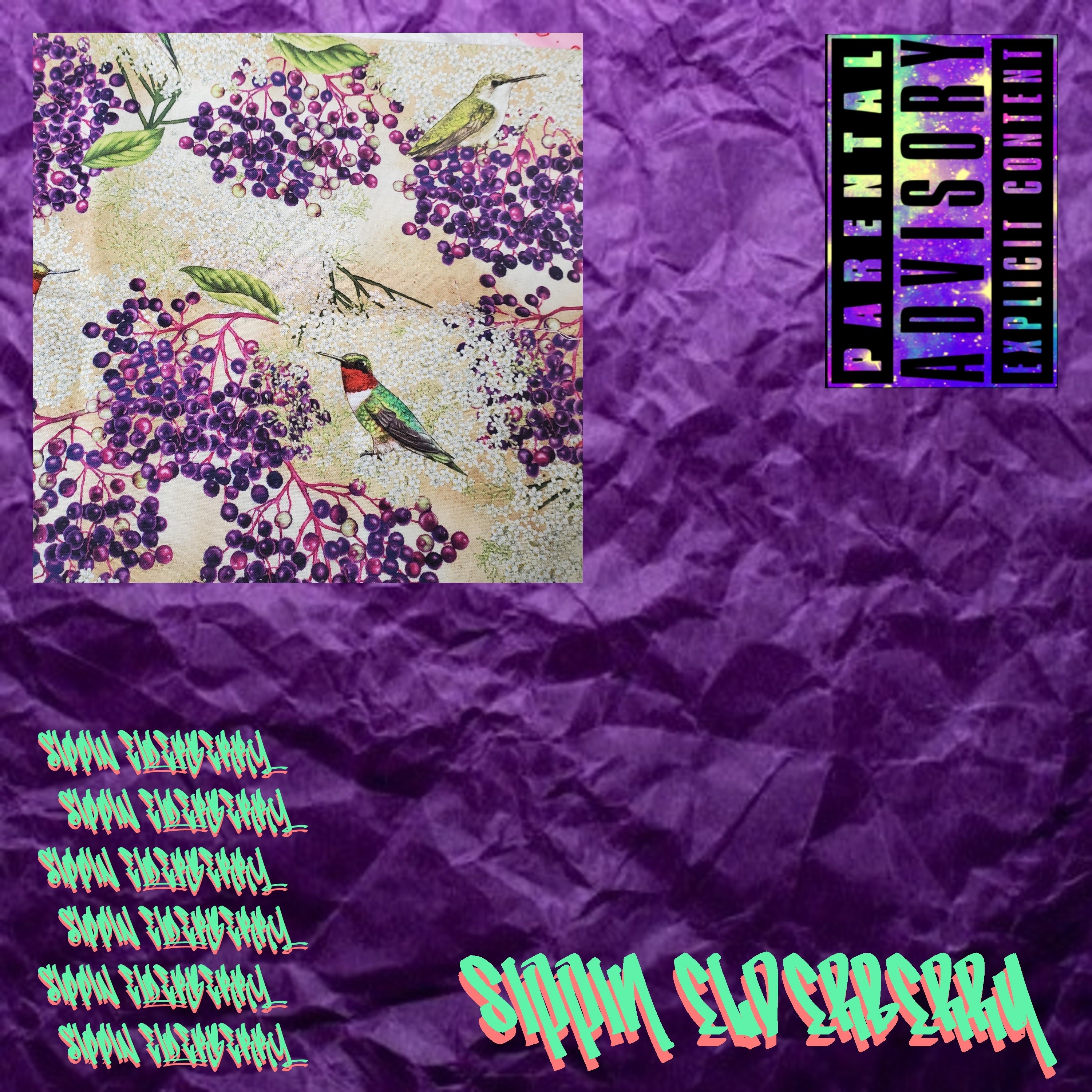 Sippin Elderberry - Single album cover