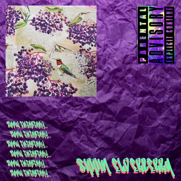 Sippin Elderberry - Single album cover