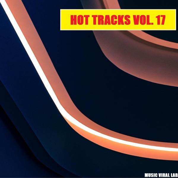 Hot Tracks Vol. 17 album cover