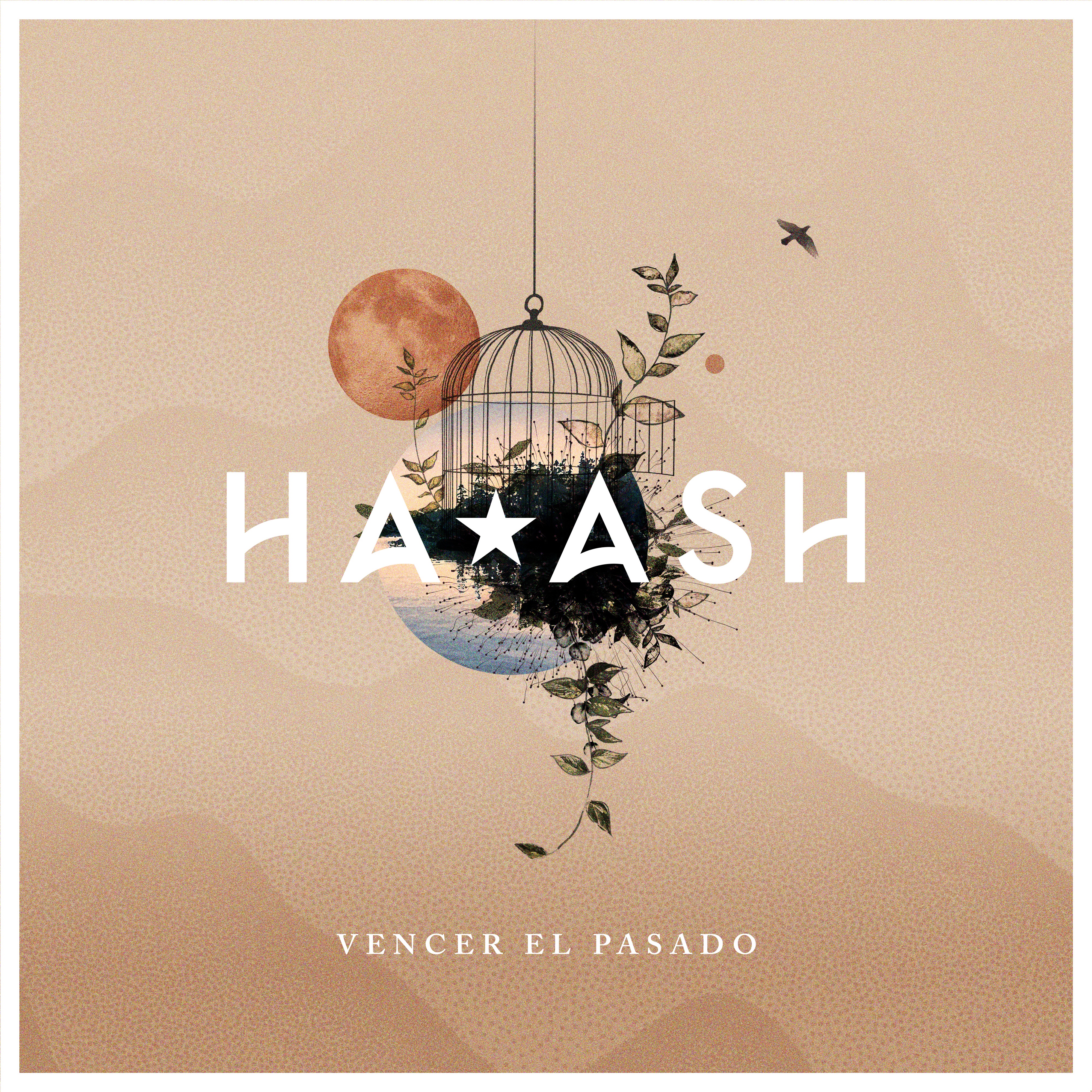 Vencer el Pasado - Single album cover