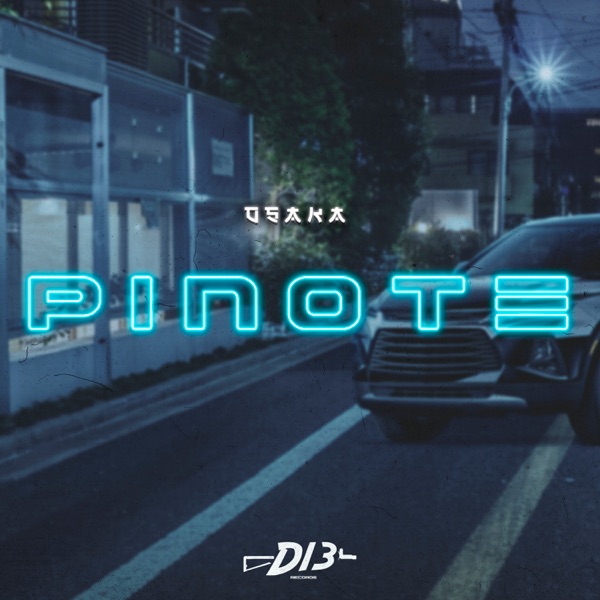 Pinote (feat. D13 Records) - Single album cover