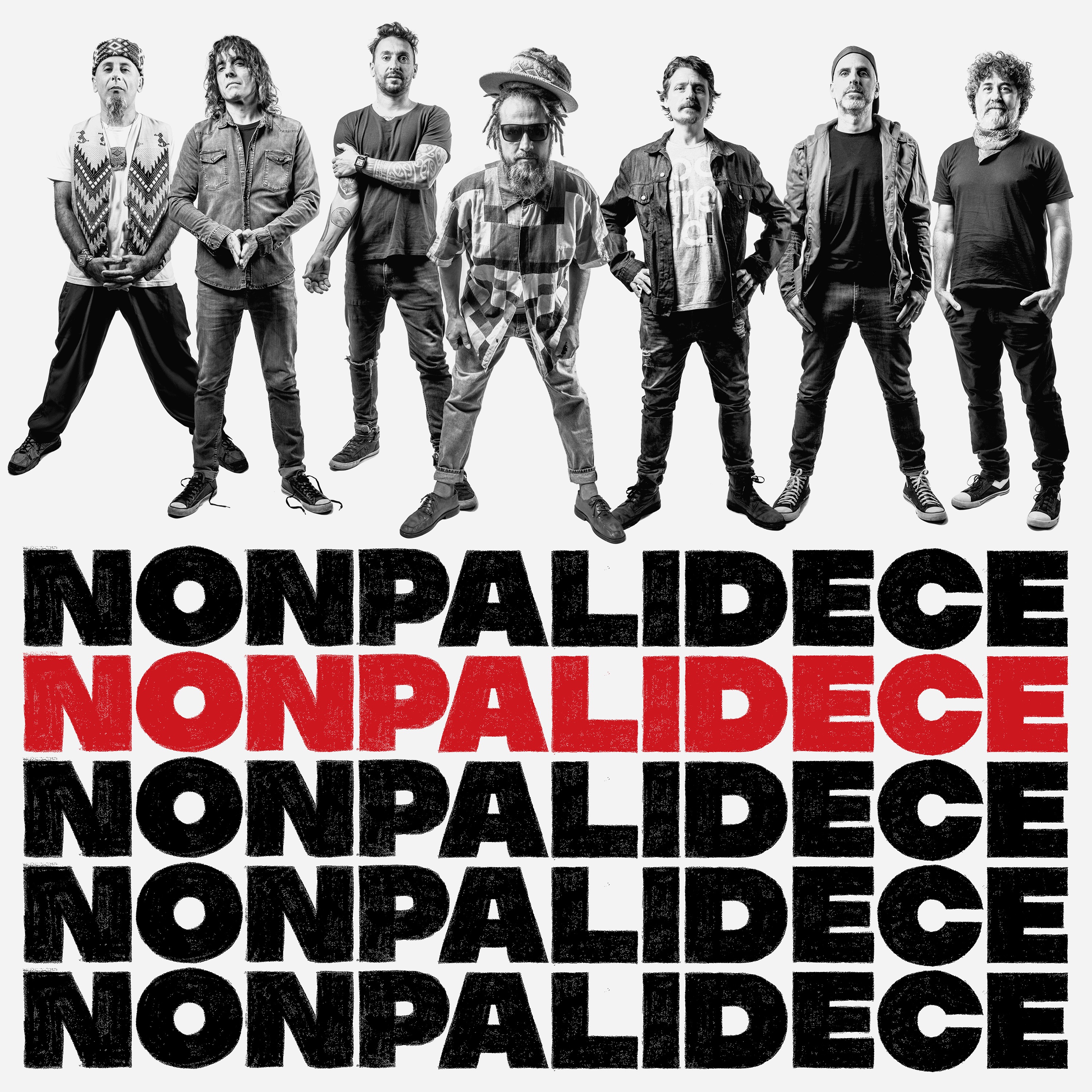 Nonpalidece album cover
