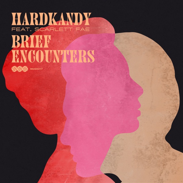 Brief Encounters (feat. Scarlett Fae) - Single album cover