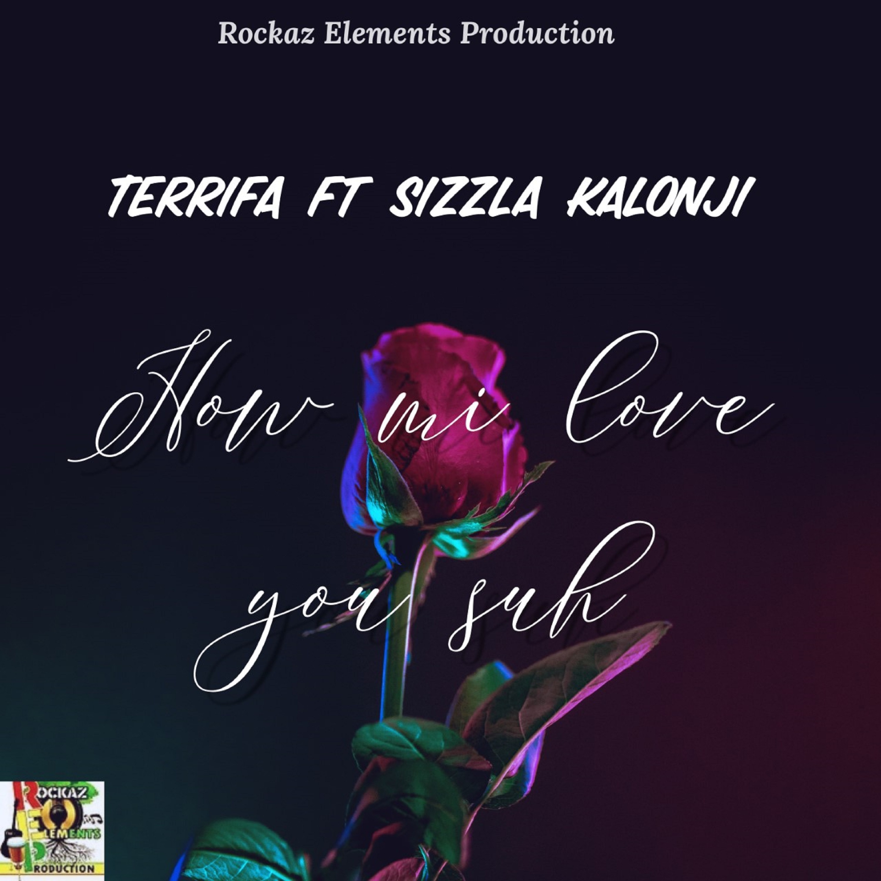 How Mi Love You Suh - Single album cover