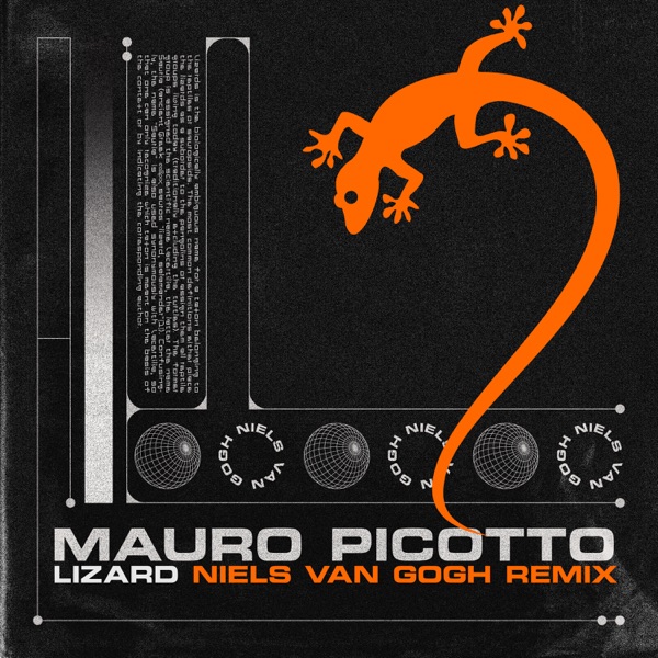 Lizard (Niels Van Gogh Remix) - Single album cover
