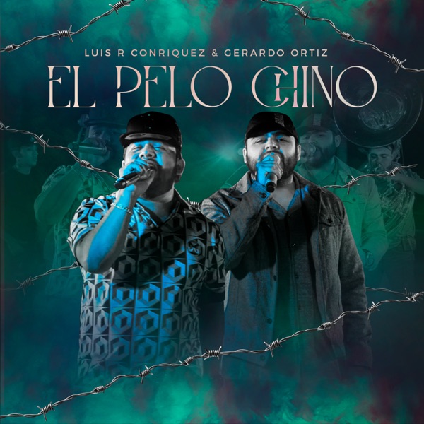 El Pelo Chino - Single album cover