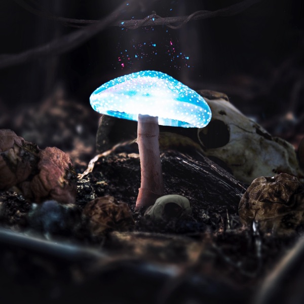 Sailing Colors - Single album cover