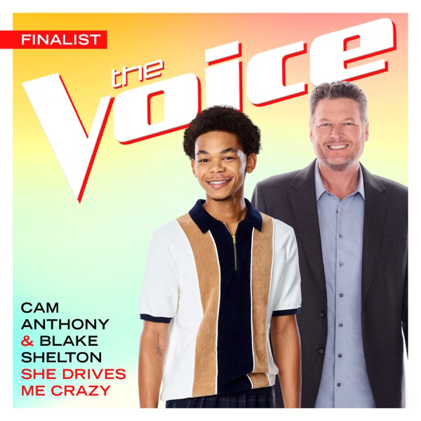 She Drives Me Crazy (The Voice Performance) - Single album cover