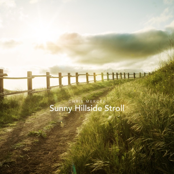 Sunny Hillside Stroll - Single album cover