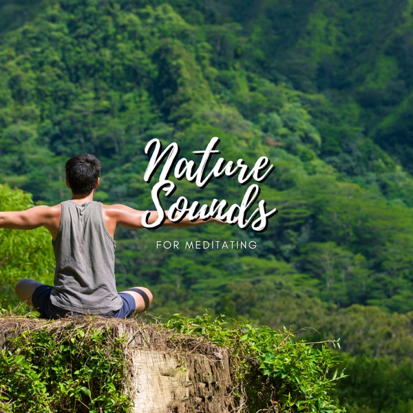 Nature Sounds For Meditating - EP album cover