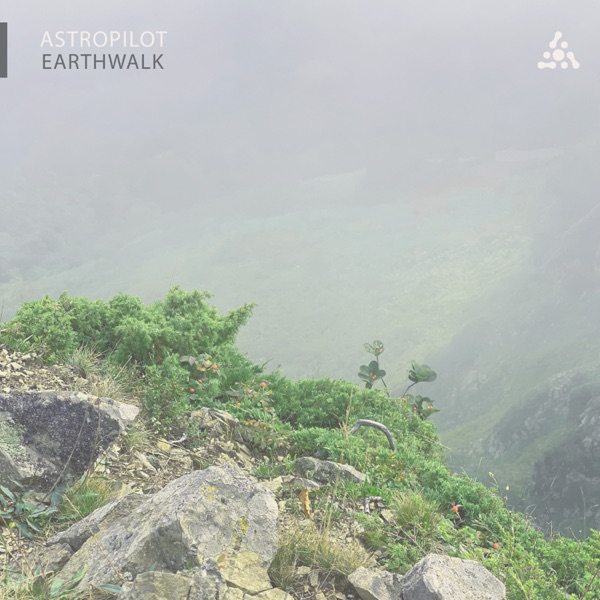 Earthwalk - Single album cover
