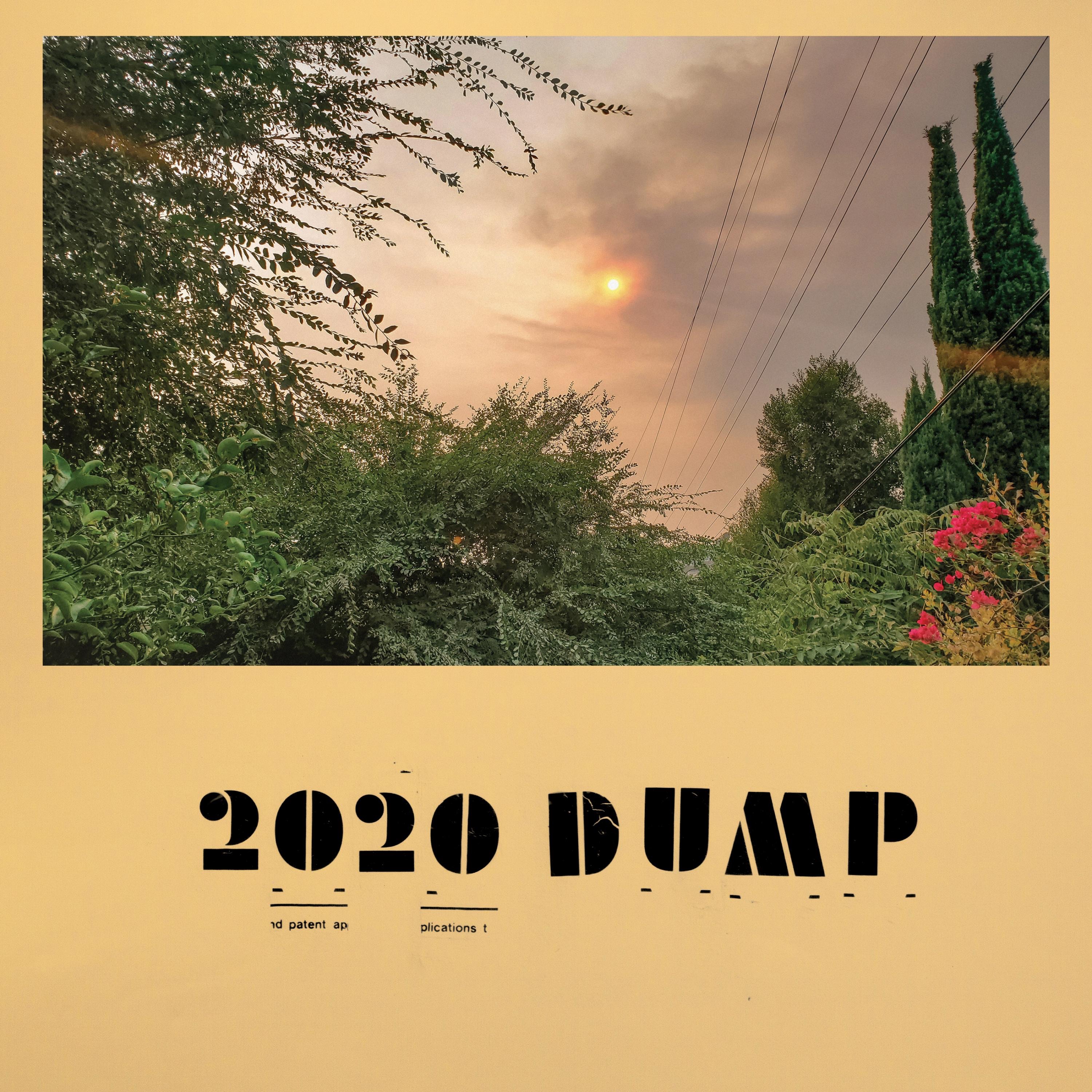 2020 DUMP album cover