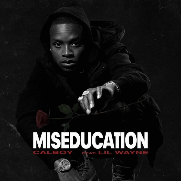 Miseducation (feat. Lil Wayne) - Single album cover