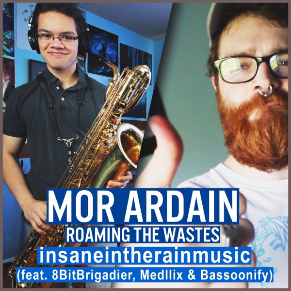 Mor Ardain Roaming the Wastes (feat. 8bitbrigadier, Medllix & Bassoonify) - Single album cover