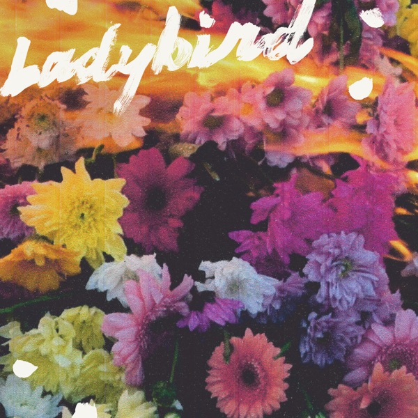 Ladybird - Single album cover