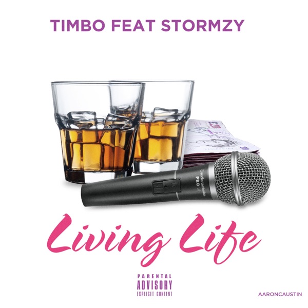 Living Life (feat. Stormzy) - Single album cover