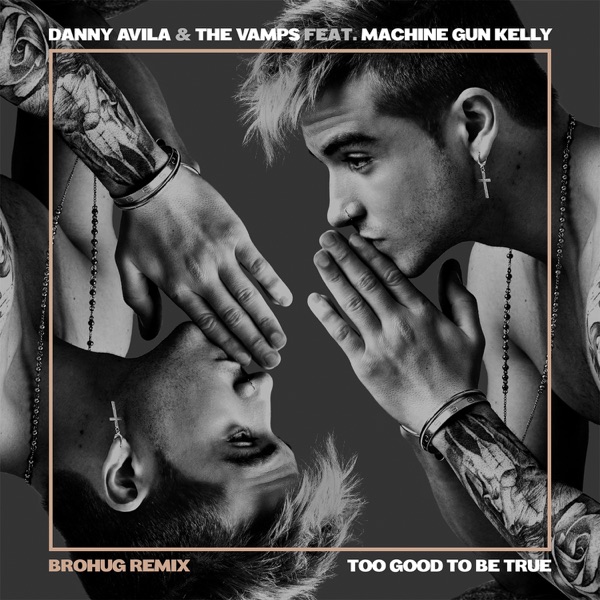 Too Good to Be True (feat. Machine Gun Kelly) [Brohug Remix] - Single album cover