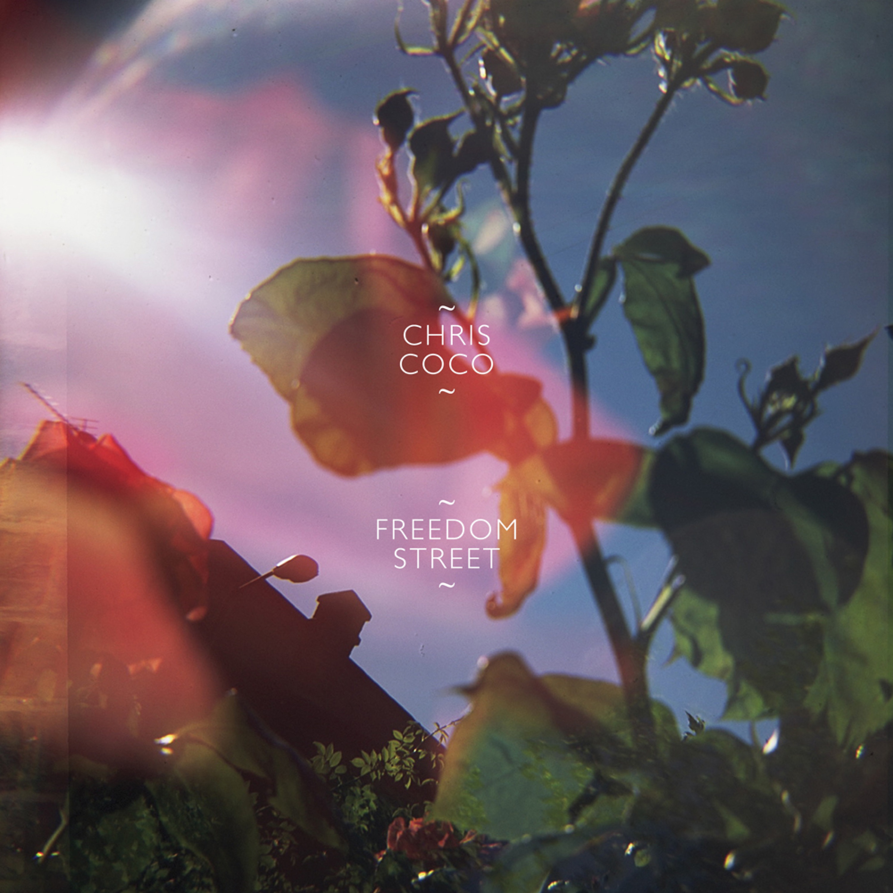 Summer Sun - Single album cover