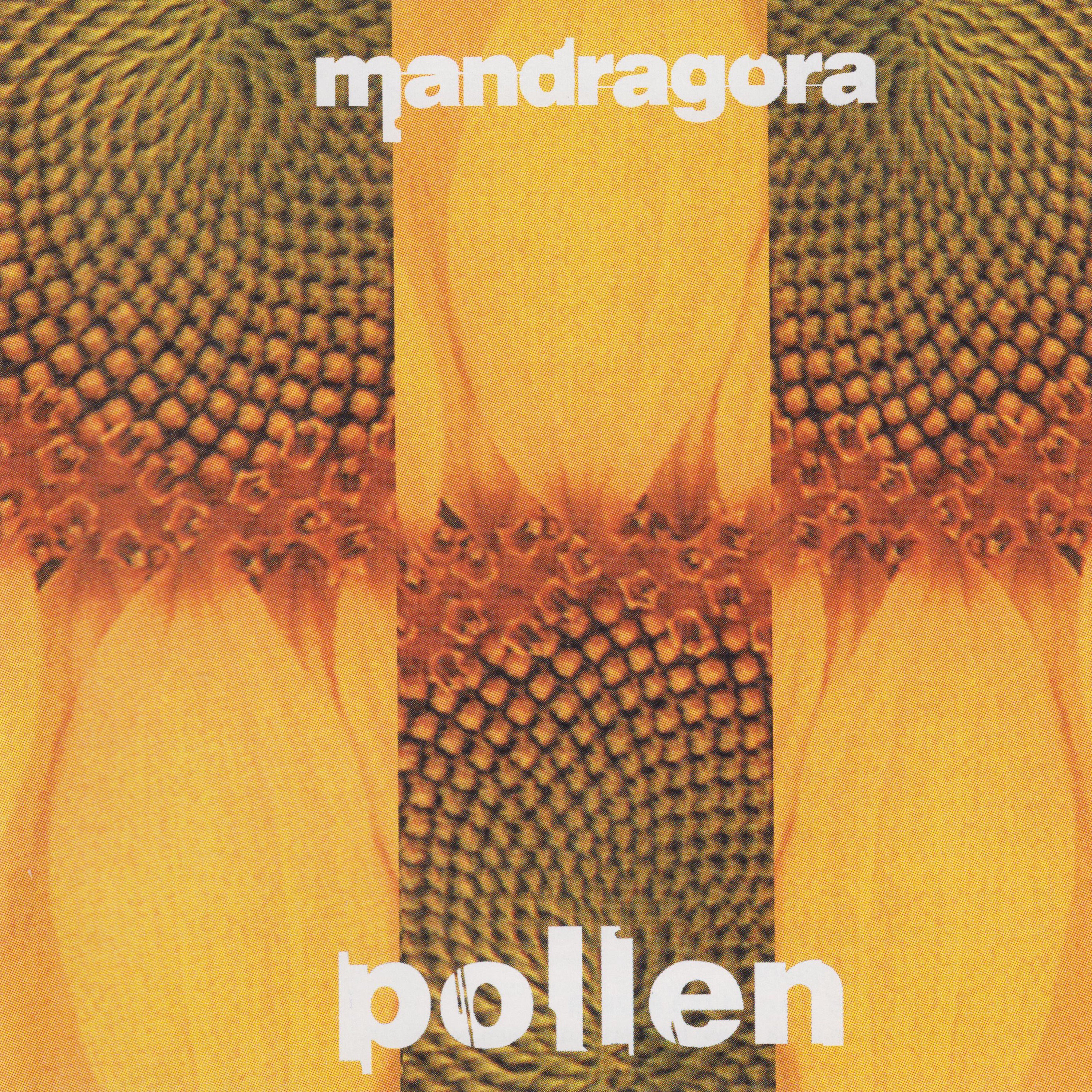 Pollen album cover