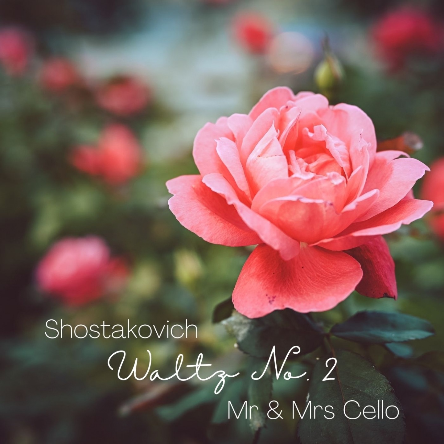 Suite for Variety Orchestra: VII. Waltz No. 2 (Arr. for Two Cellos) - Single album cover