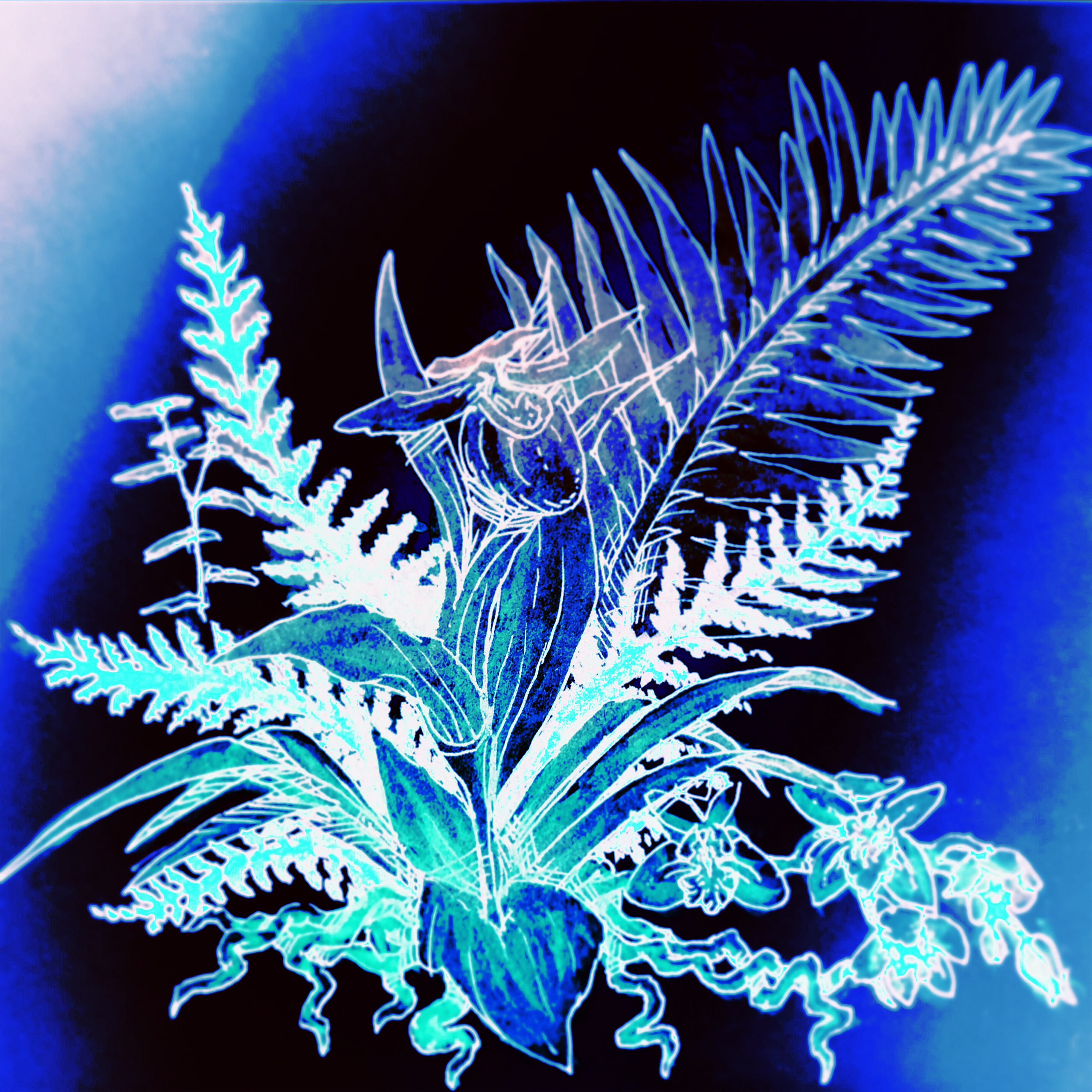 Orchids (Playlist Version) - Single album cover